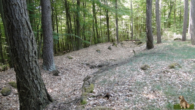Ritterstein Nr. 145-6 Horterkopf Schanze 1793-94.JPG - Ritterstein Nr.145  Horterkopf Schanze 1793-94                               